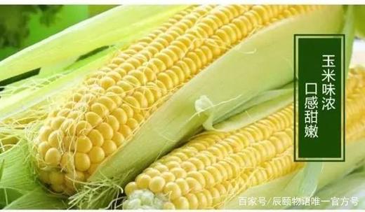 优质甜脆玉米1份/1000g 商品图1