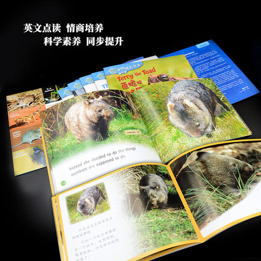 《动物成长故事第六辑》（外研社双语故事屋） 商品图5