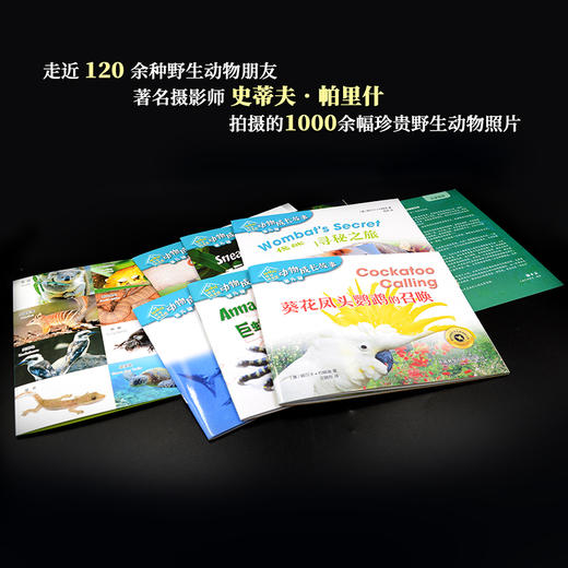 《动物成长故事第九辑》（外研社双语故事屋） 商品图4