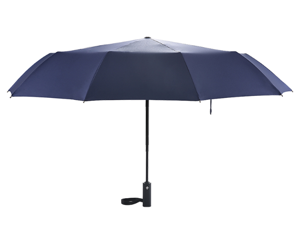 外交官   自开收晴雨伞DFJ-605-2