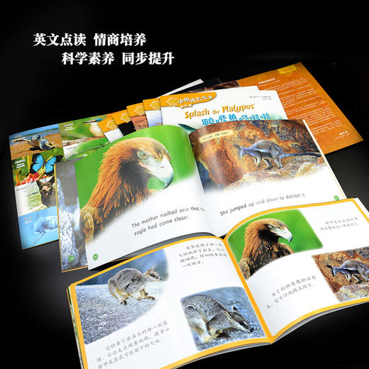 《动物成长故事第三辑》（外研社双语故事屋） 商品图5