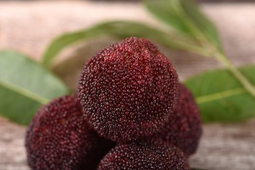 东魁杨梅王（27-28克，5斤装） 商品图4