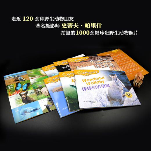 《动物成长故事第三辑》（外研社双语故事屋） 商品图4