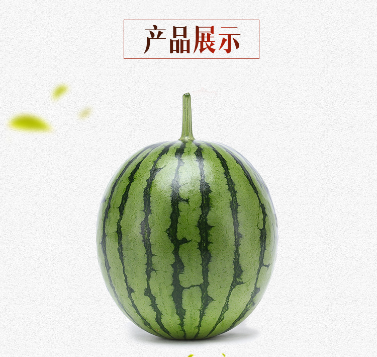 老宋瓜王 金童玉女组合 l600小西瓜(红芯) 京彩一号(黄芯)