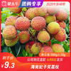 【水果团购】海南妃子笑荔枝500g±50g 商品缩略图0
