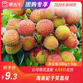 【水果团购】海南妃子笑荔枝500g±50g