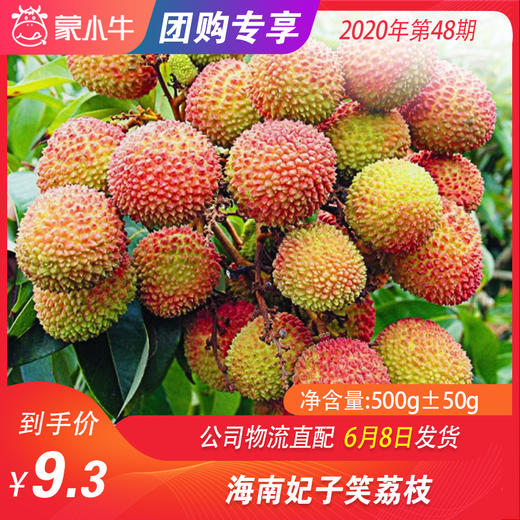 【水果团购】海南妃子笑荔枝500g±50g 商品图0