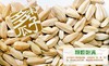 真心多味瓜子160g（9月份到期） 商品缩略图1