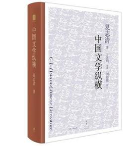 中国文学纵横
