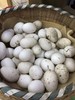 【奶奶推荐】后湖农场正宗超大个土鹅蛋 新鲜现收 儿童孕妇 商品缩略图2