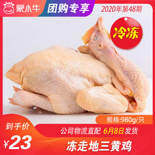 【团购】走地三黄鸡	980g/只 商品图0