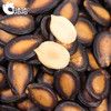洽洽品牌小粒西瓜子500g 商品缩略图3