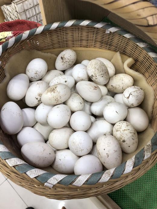 【奶奶推荐】后湖农场正宗超大个土鹅蛋 新鲜现收 儿童孕妇 商品图3
