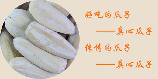 真心多味瓜子160g（9月份到期） 商品图3