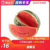 【水果团购】麒麟瓜3KG±400g 商品缩略图0
