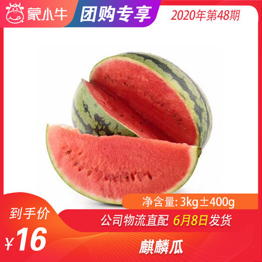 【水果团购】麒麟瓜3KG±400g 商品图0