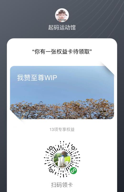 1111 商品图0