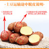 【光复大地严选】云南生态黄心土豆(薄皮)9斤/箱 商品缩略图1