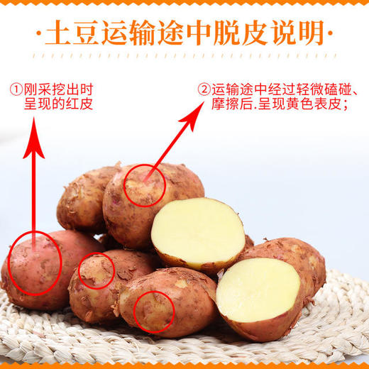 【光复大地严选】云南生态黄心土豆(薄皮)9斤/箱 商品图1