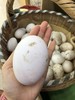 【奶奶推荐】后湖农场正宗超大个土鹅蛋 新鲜现收 儿童孕妇 商品缩略图1