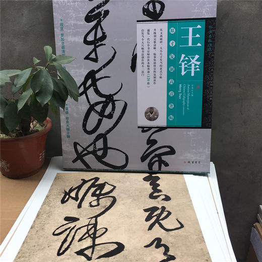 书法名品精选  王铎#此商品参加第十一届北京惠民文化消费季 商品图3