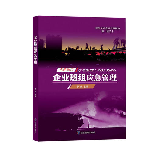 企业班组应急管理 商品图0
