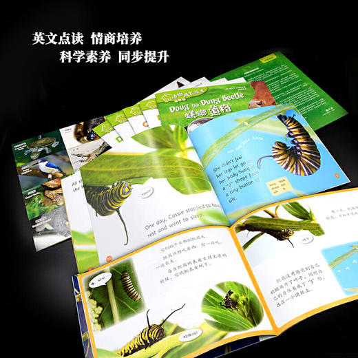 动物成长故事套装(上)(1-5辑) 商品图5