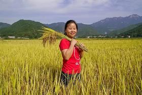  新农人故事 | 美玉姐，璞玉一样的管家姐 