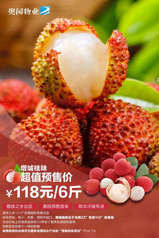 【预售广东省外】荔枝之乡广东增城  新鲜现摘桂味 果园直供顺丰冷链配送 商品图0