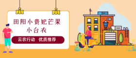  云农行动！优质推荐！田阳小贵妃芒果/小台农 