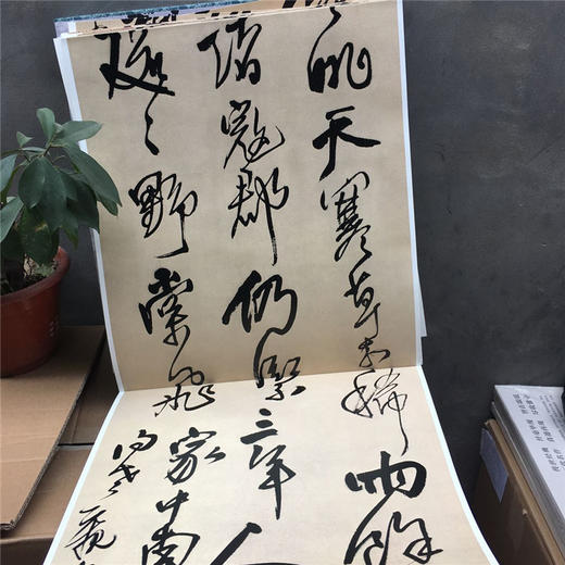 书法名品精选  王铎#此商品参加第十一届北京惠民文化消费季 商品图4