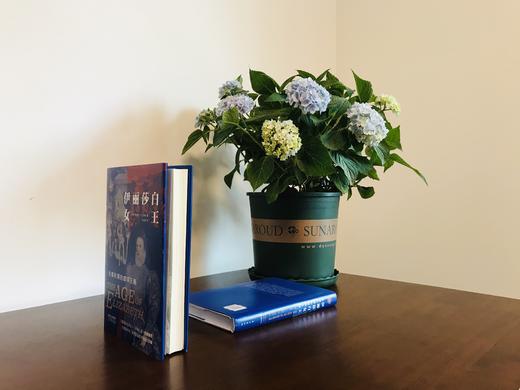 《伊丽莎白女王：全盛时期的都铎王朝》——华文全球史 商品图2