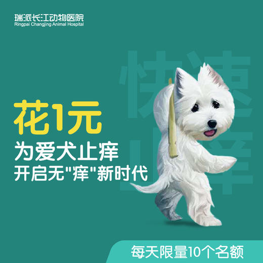【限量秒杀】到店服务，为爱犬止痒，开启无“痒”新时代 商品图0