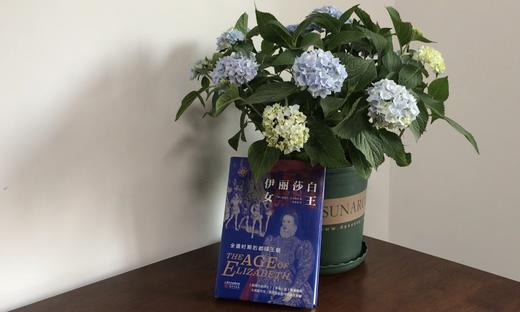 《伊丽莎白女王：全盛时期的都铎王朝》——华文全球史 商品图5