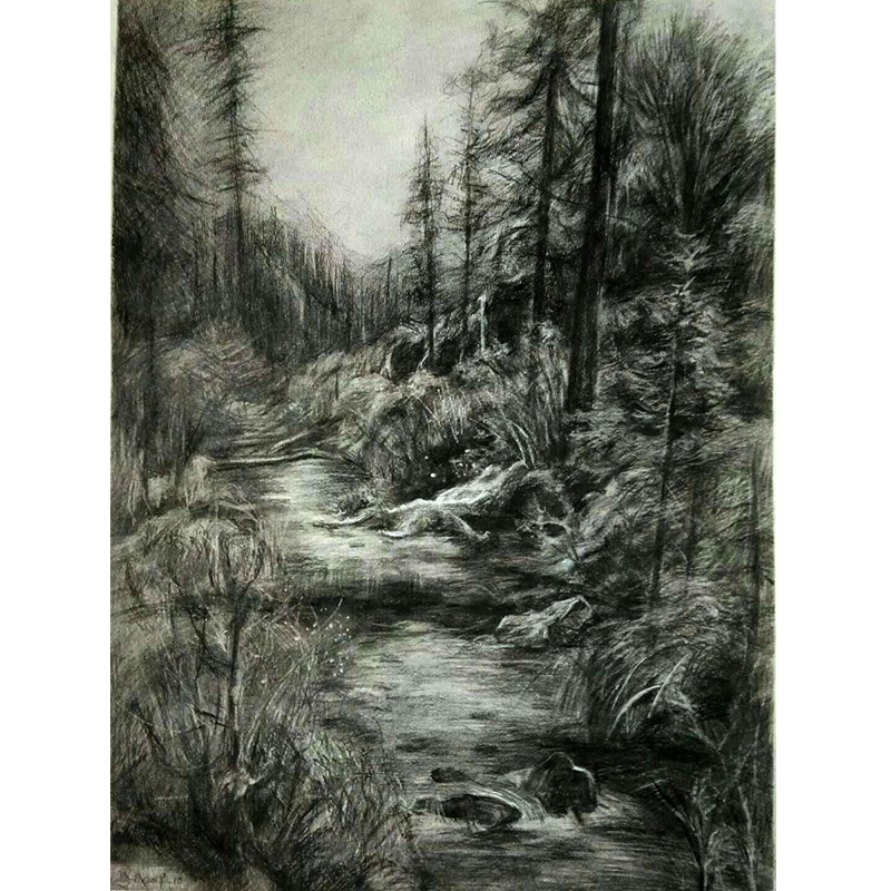 张粤成 素描作品《林间小溪》