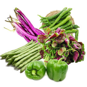 有机蔬菜组合（茄子/四季豆/尖椒/苋菜四选二）共800g