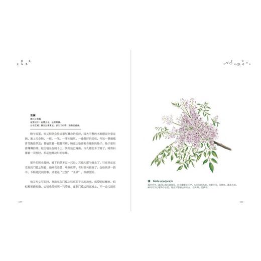 《笔落草木生》 商品图6