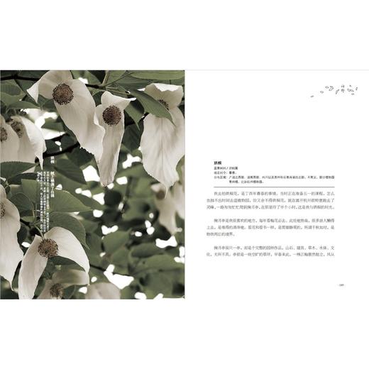 《笔落草木生》 商品图3
