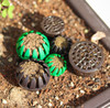 玉肥盒植物肥料盒 玉肥专用盒 带盖、不带盖 1～2 商品缩略图3