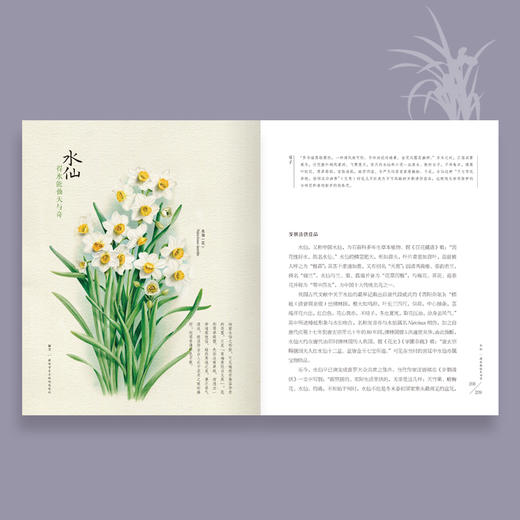 《撷芳 植物学家手绘观花笔记》 商品图5