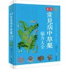 家庭常见病中草药偏方大全 商品缩略图0