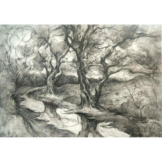 张粤成 素描作品《沼泽地》 商品图0