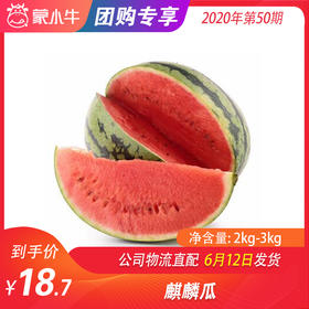 【水果团购】麒麟瓜    2KG-3KG