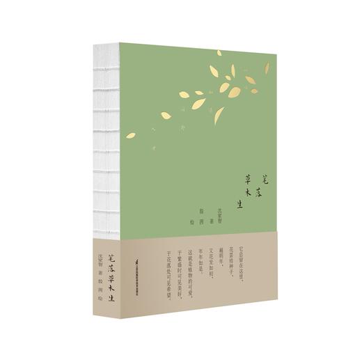 《笔落草木生》 商品图0