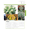1200种多肉植物图鉴：珍藏版 商品缩略图7