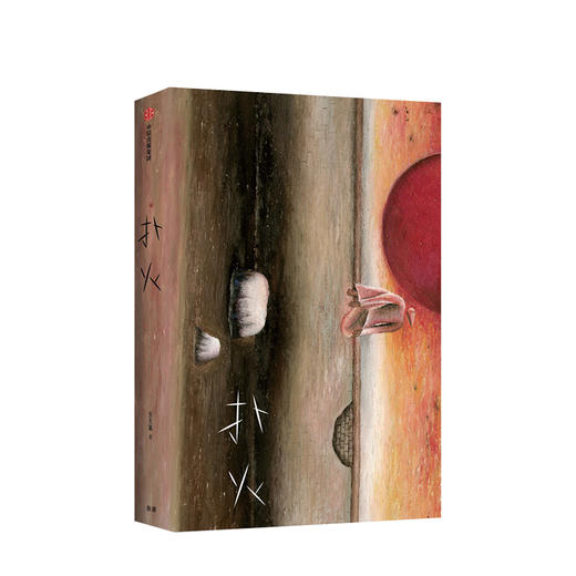 扑火 张天翼 著 现当代文学 李敬泽 高圆圆推荐 黑糖匣 九个妖插画 中信出版社正版 商品图3