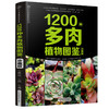1200种多肉植物图鉴：珍藏版 商品缩略图1