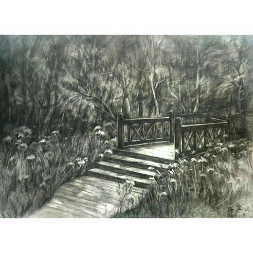张粤成 素描作品《湿地公园》 商品图0