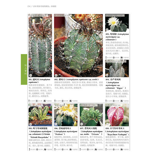 1200种多肉植物图鉴：珍藏版 商品图2