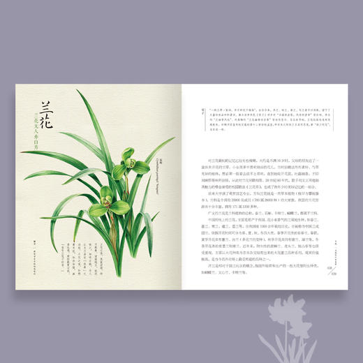 《撷芳 植物学家手绘观花笔记》 商品图3